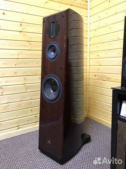 AC Aurum Cantus Melody M-102 SE