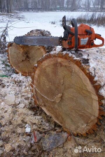 Спил деревьев