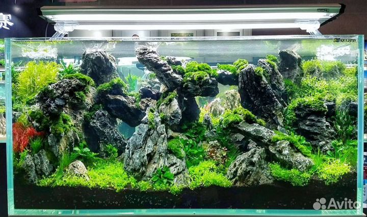 Оформление аквариумов,консультации,коряги