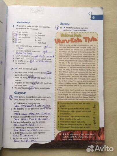 Starlight 6 рабочая тетрадь