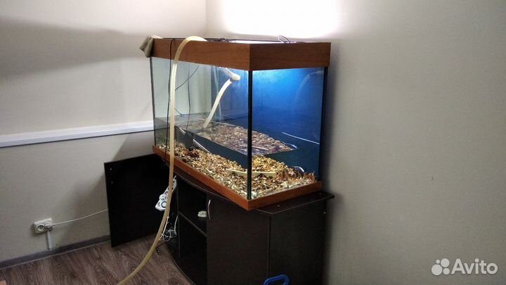 Перевозка аквариумов под ключ