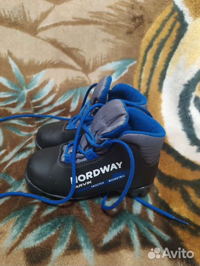 Лыжные ботинки nordway