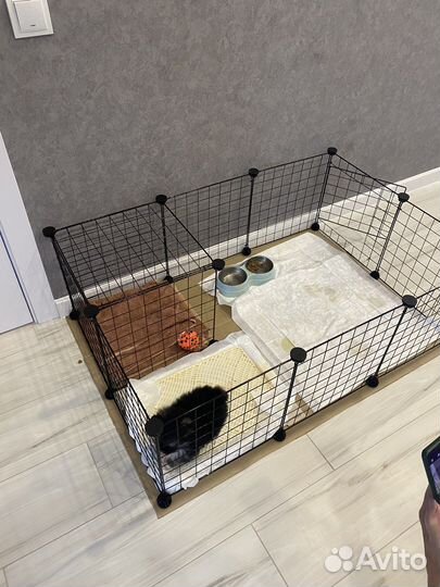 Вольер для собак