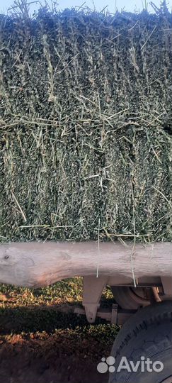 Продажа сена в тюках ростовская область