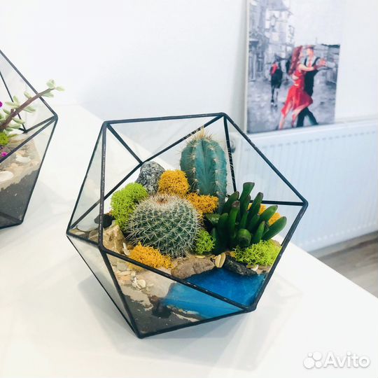 Флорариум Икосаэдр S