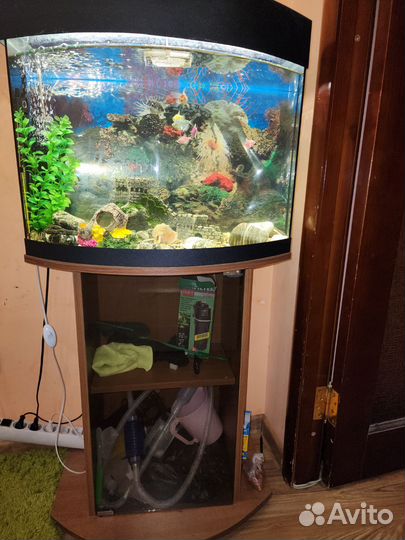 Аквариум
