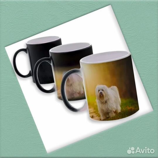 Кружка хамелеон