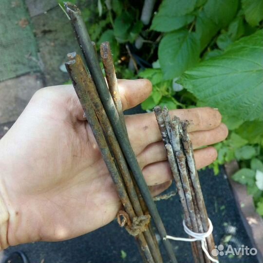 Снасти для рыбалки