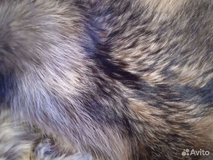 Мех енота на опушки, натуральный