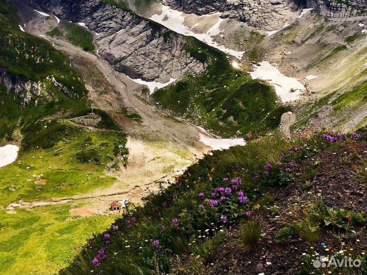 Экскурсия — Адлер — Курорты Сочи: большое путешест