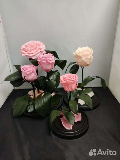 Роза в колбе оптом