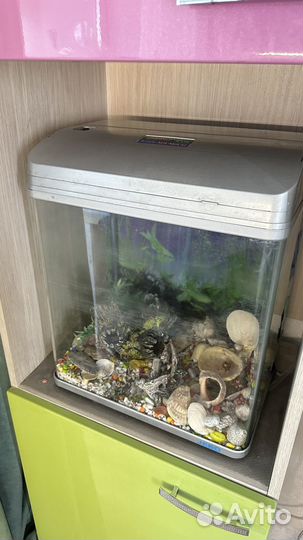 Аквариум jebo