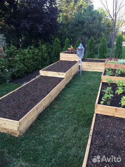 Рулонный газон мятлик