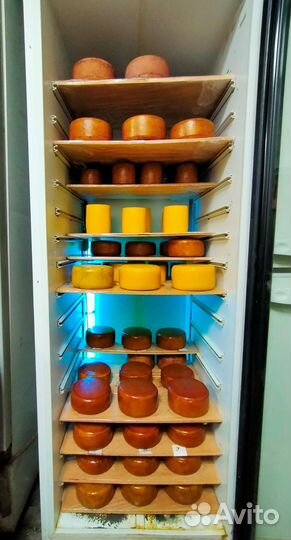 Сыр Винный полутвердый с Алтая Доставка