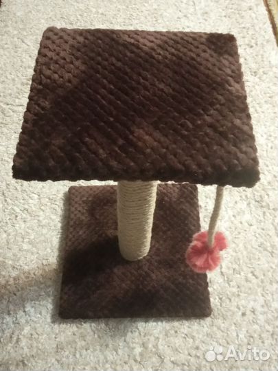 Когтеточка