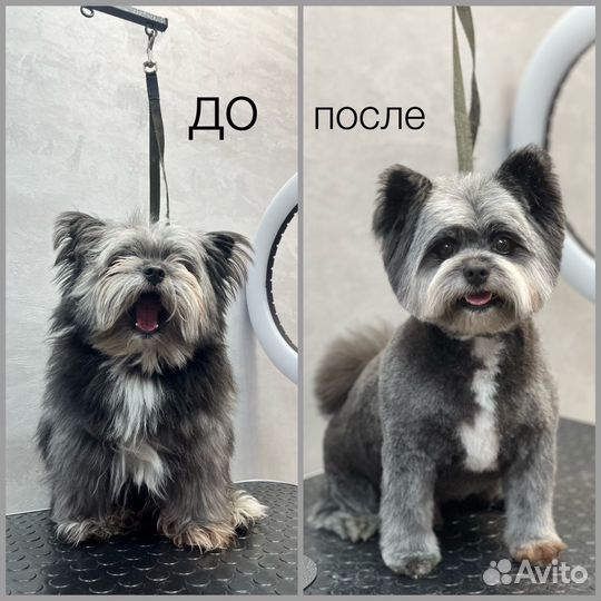 Модели на груминг