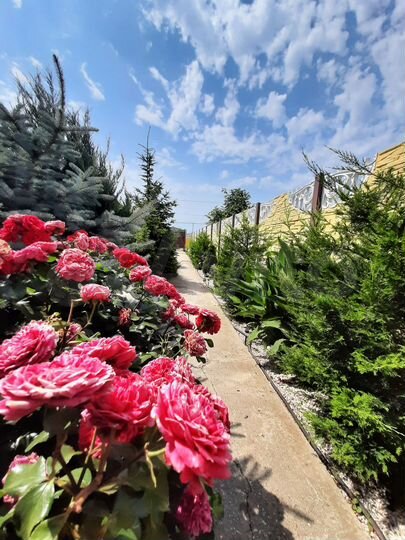 Дом 200 м² на участке 5 сот.