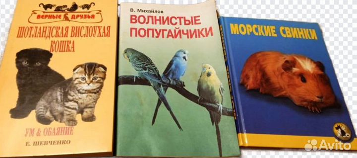 Домашние питомцы. Книги по воспитанию, поведение