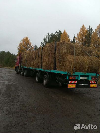 Продам сено
