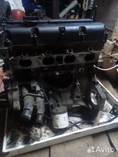Двигатель ford focus 2 1 6