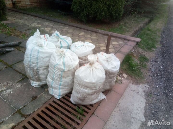 Куриный помет Бесплатно