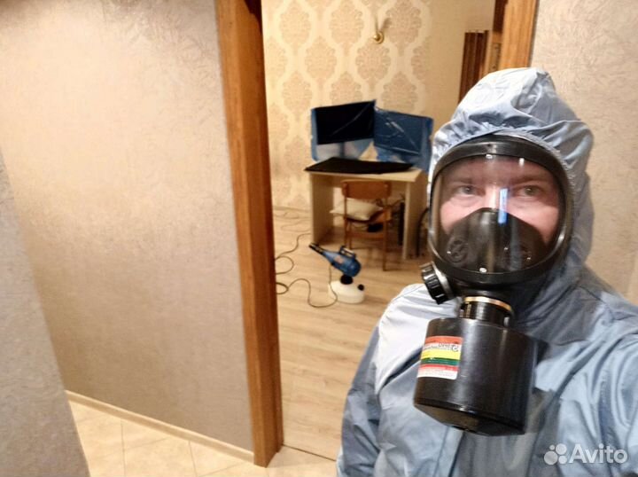 Уничтожение клопов и тараканов