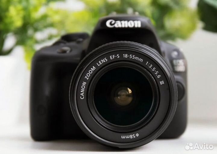 Фотоаппарат Canon EOS 100D Kit