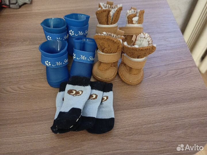 Одежда для собак