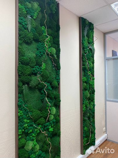 Фитопанели из мха