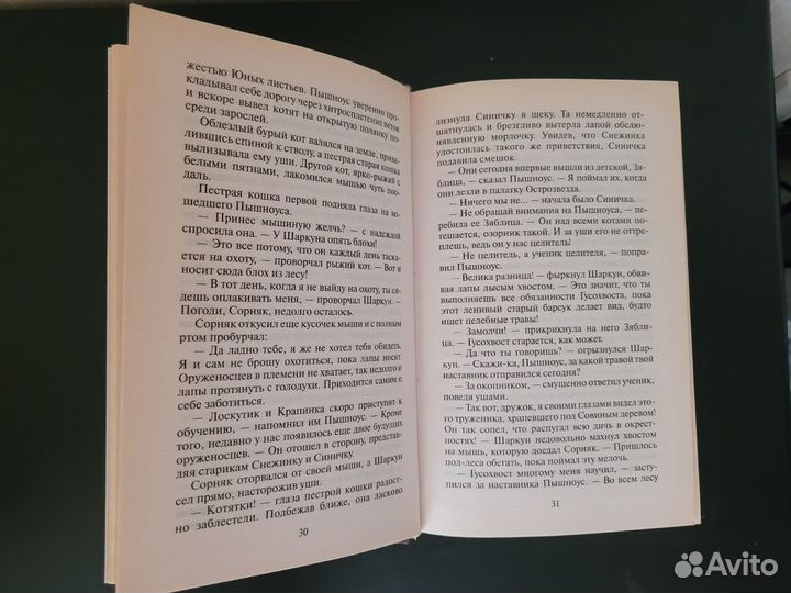 Две книги из серии «Коты-воители» Эрин Хантер