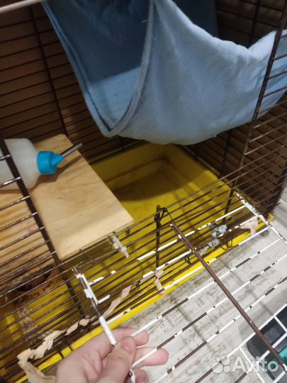 Клетка для хорька