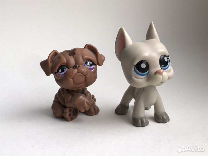 Littlest Pet Shop