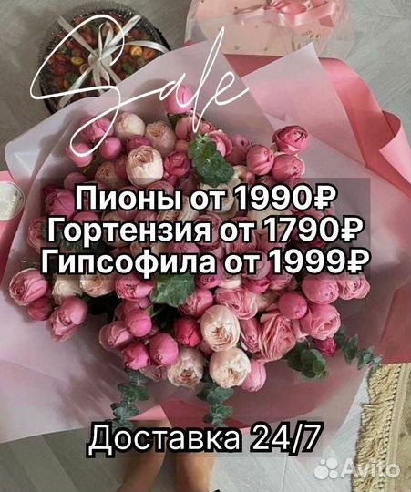 Пионы Гипсофила Цветы Пионы