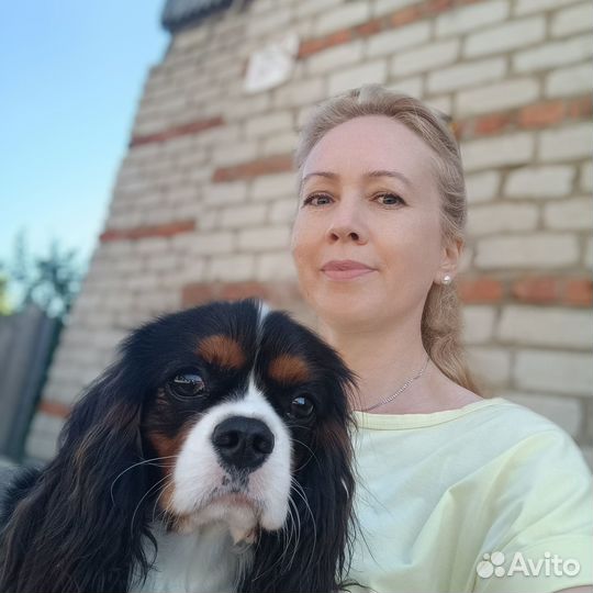 Репетитор по математике, подготовка к огэ