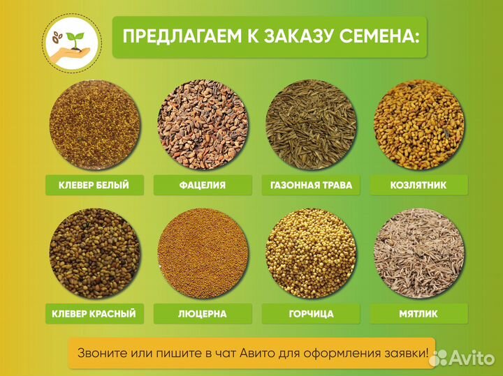 Семена газона восстанавливающего