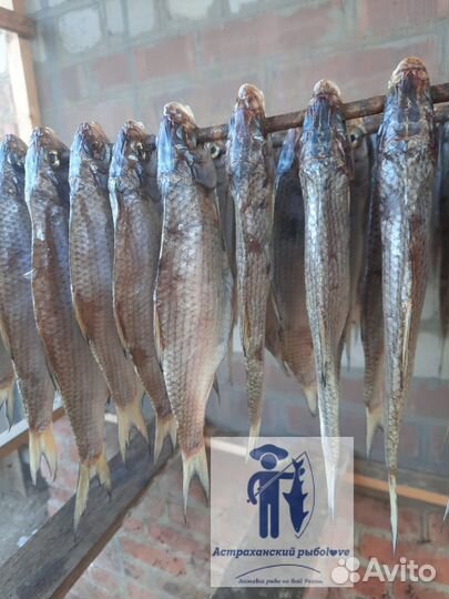 Икра воблы вяленая/Вобла вяленая из Астрахани