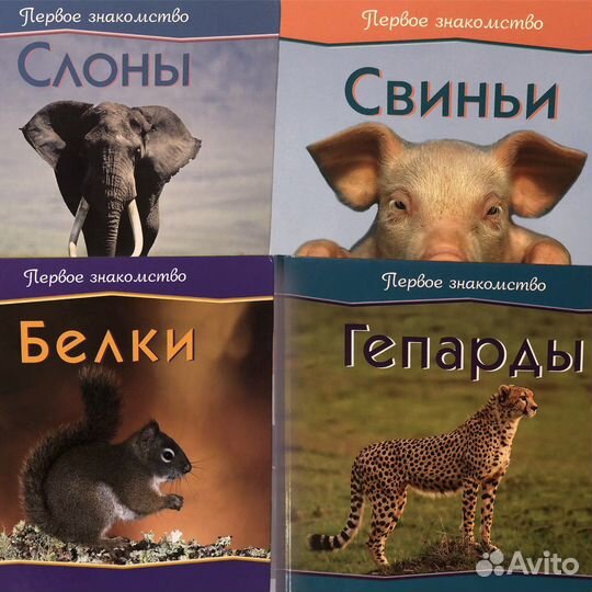 Книги для детей О животных Сказки