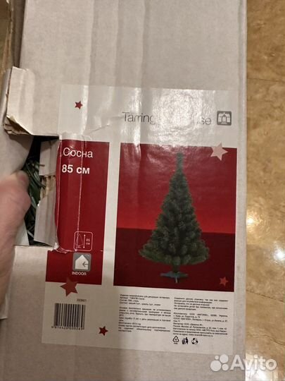 Сосна искусственная