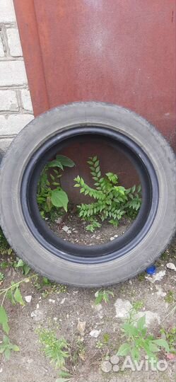 Yokohama C.Drive 2 AC02 205/55 R16