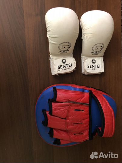 Лапа для единоборств и защита на руки