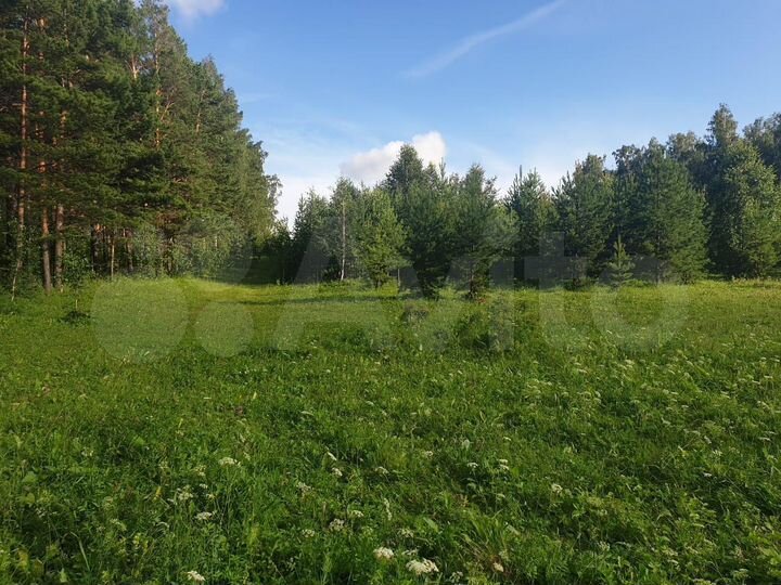 Участок 1,6 га (СНТ, ДНП)