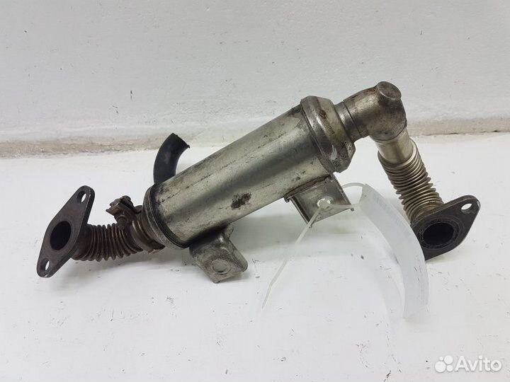 Радиатор системы EGR Ford Focus