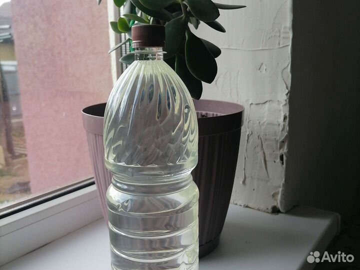 Продам масло пихтовое