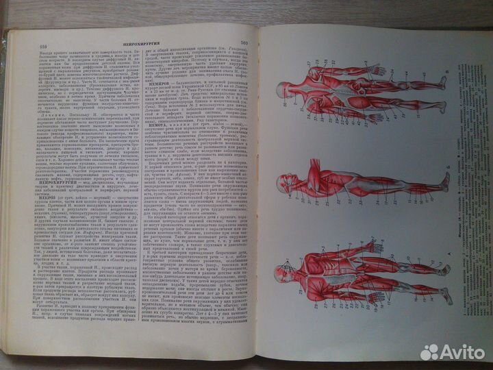 Книга Популярная медицинская энциклопедия 1965г