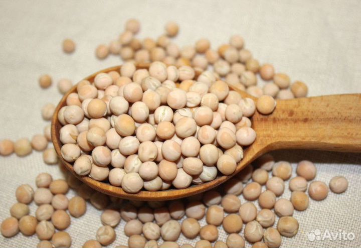 Горох. Размол гороха