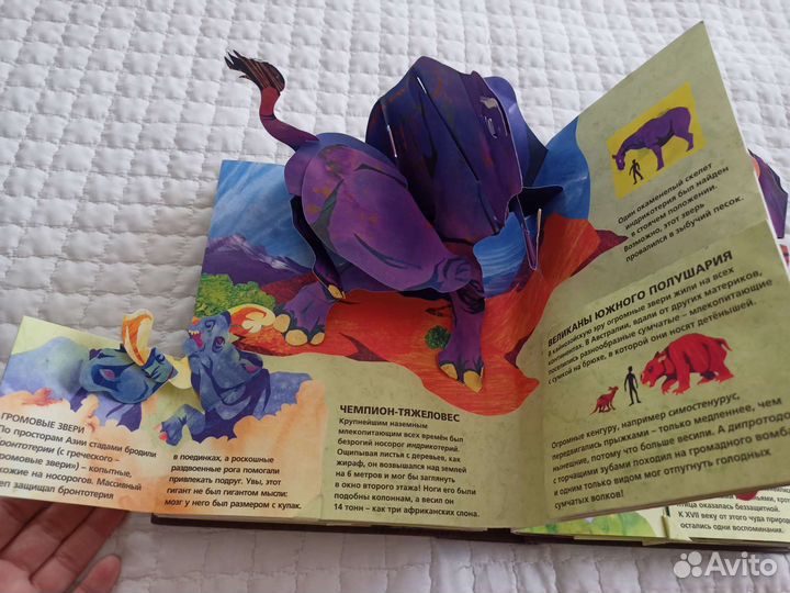 Книга с окошками Энциклопедия древностей Звери