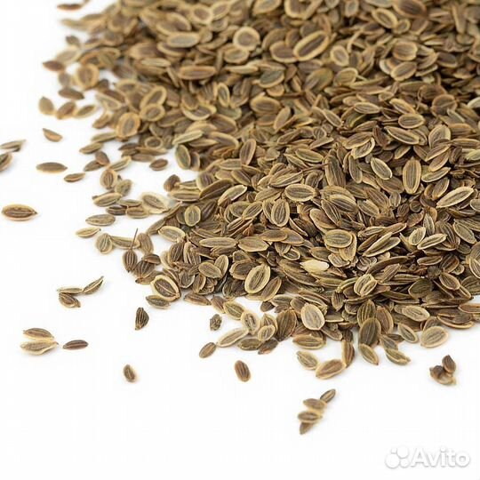 Семена укропа 2023 года 3 кг