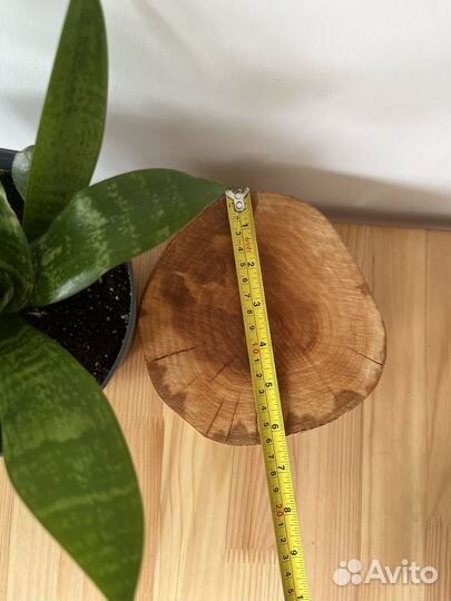 Сканди подставка/деревянная поставка/декор/сканди