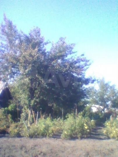 Участок 6,5 сот. (СНТ, ДНП)