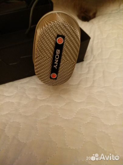 Микрофон конденсорный Сони